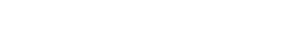Chicago Digital Marketing Agency | Digital Third Coast